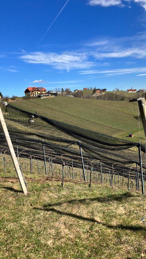 Weinberg Leutschach